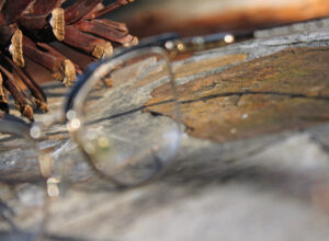 Close up photo of glasses on a rock and a pinecone in the background.